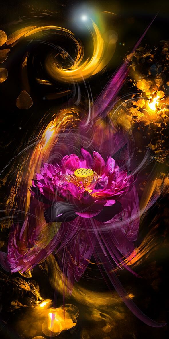 Lotus Red Heavenly Dance 02 - a Photographic Art by Akitoshi Matsuhara
